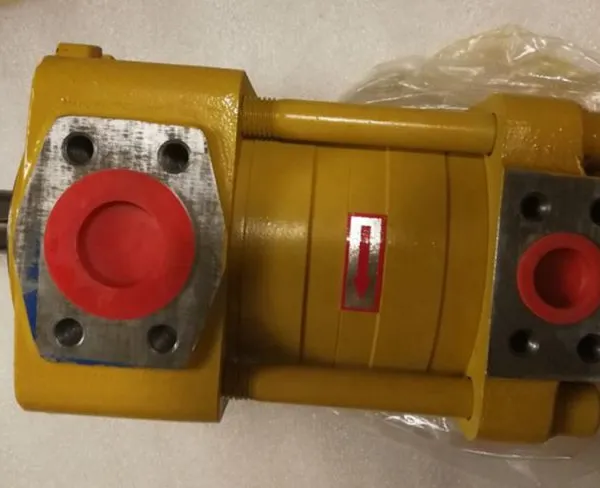 NT2-G10/12/16F Innenzahnradpumpen für Biegemaschinen und Spritzgießmaschinen NT2-C10/12/16F NT2-D10/12/16F Einlass/Auslass 180 photo-6