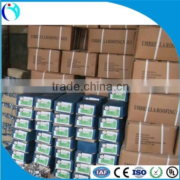 China Building Material Dubai and Arabic Screw Roofing Nail With Washer photo-3