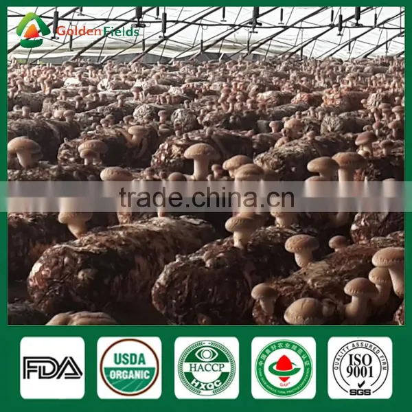 Shiitake Farm,Shiitake Growing Log/Kit,Shiitake Mushroom Log/kit photo-5