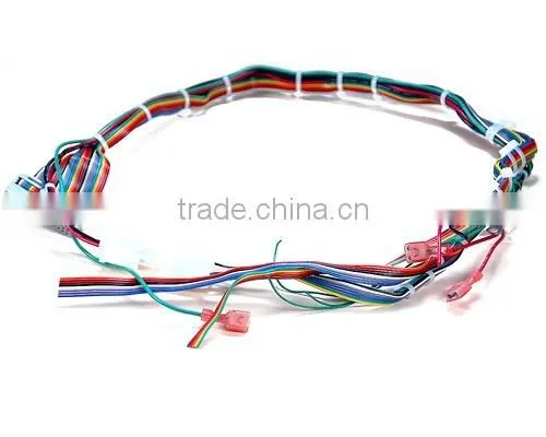 Wiring Loom