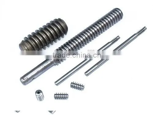 Worm Drive
