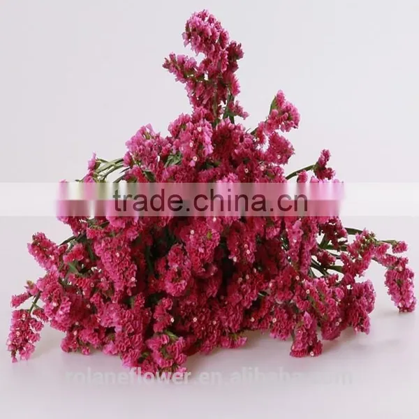 Cute and Pretty Paper Cutting Machine Cutting Machine Paper Cutting Machine With 1kg/bundle From Yunnan, China photo-2