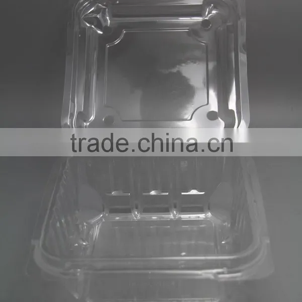 Disposable PET Clear Container, Plastic Snap photo-3