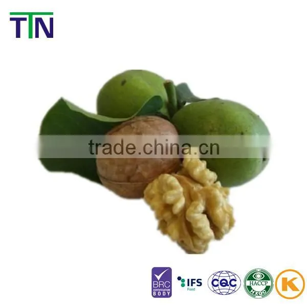 TTN New Harvest Wholesale Shelled Walnut Prices photo-4