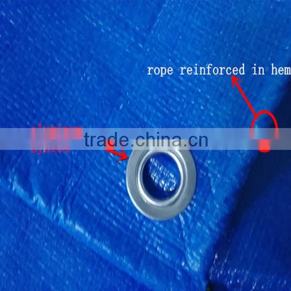 PE/PP Tarpaulin With Eyelets photo-2
