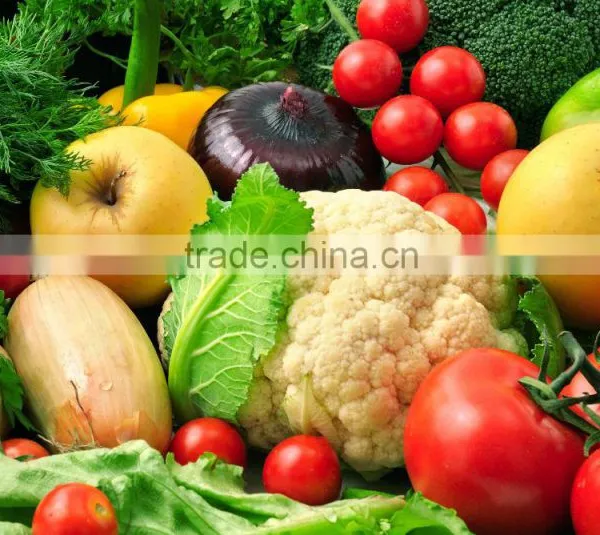 Fresh Vegetables Exporters photo-6