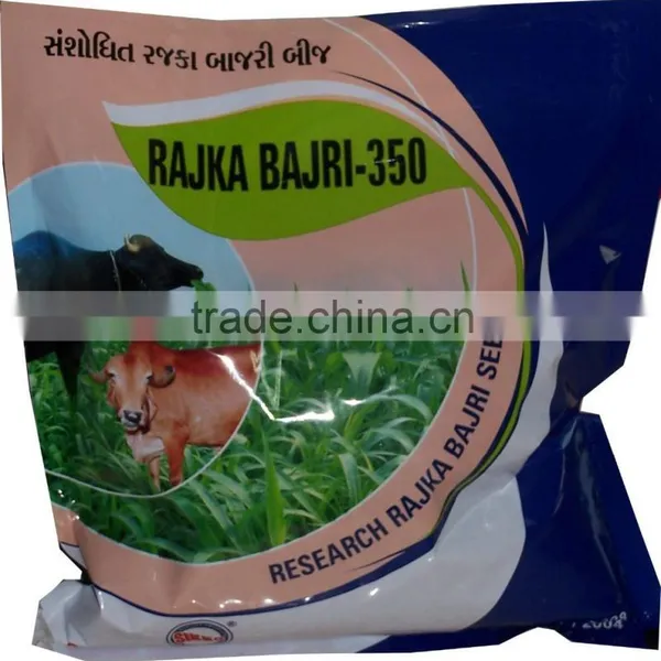 Bajra Seeds