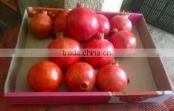 GOOD QUALITY Fresh Pomegranate Fresh Pomegranate photo-3