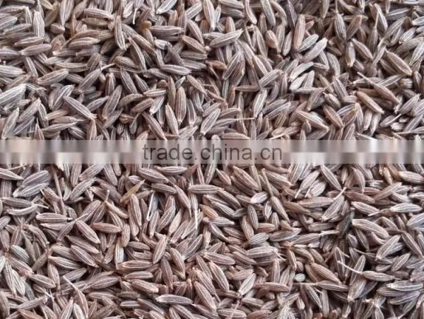 Cumin Seeds