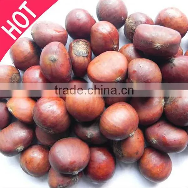Frozen Roasted Chestnuts in Shell for Sale photo-3