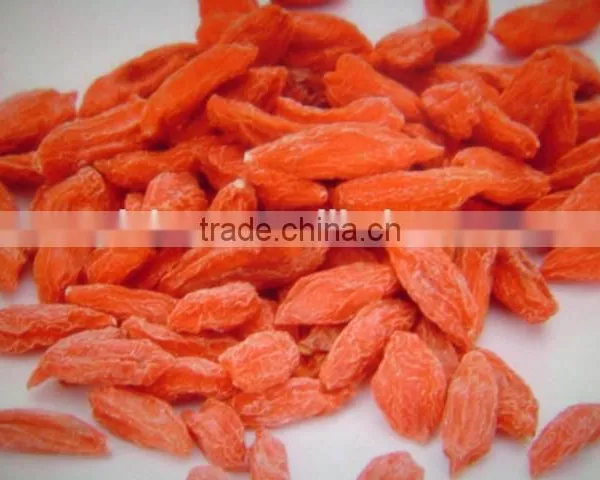 Goji Berries photo-3