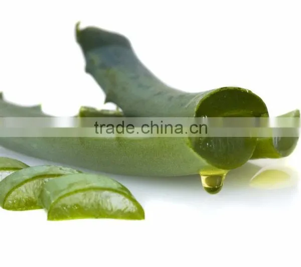 Natural Plant Extract Aloe Vera photo-3