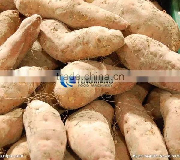 Commercial Turnip Fruit Vegetable Washing and Peeling Potato Ginger Washer and Peeler Machine photo-4