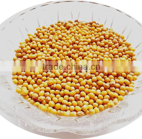 New Crop Yellow Mung Beans