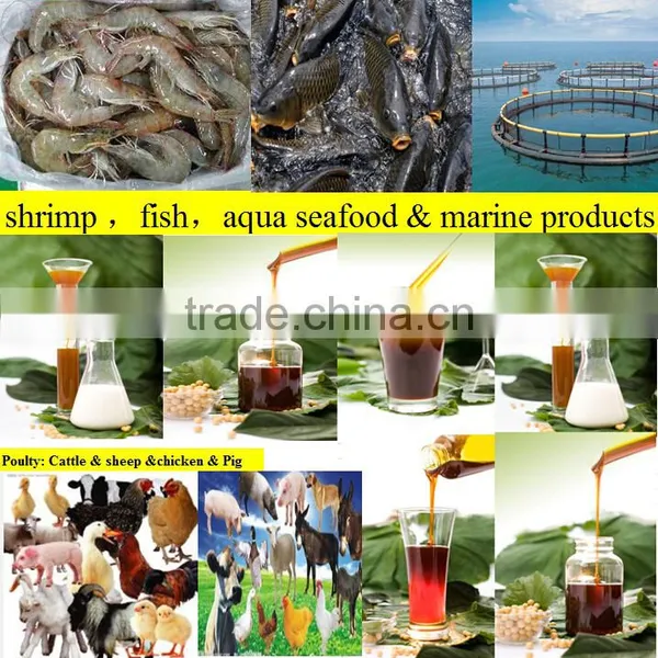 Gmo Free Soy Lecithin From China Manufacturer photo-2