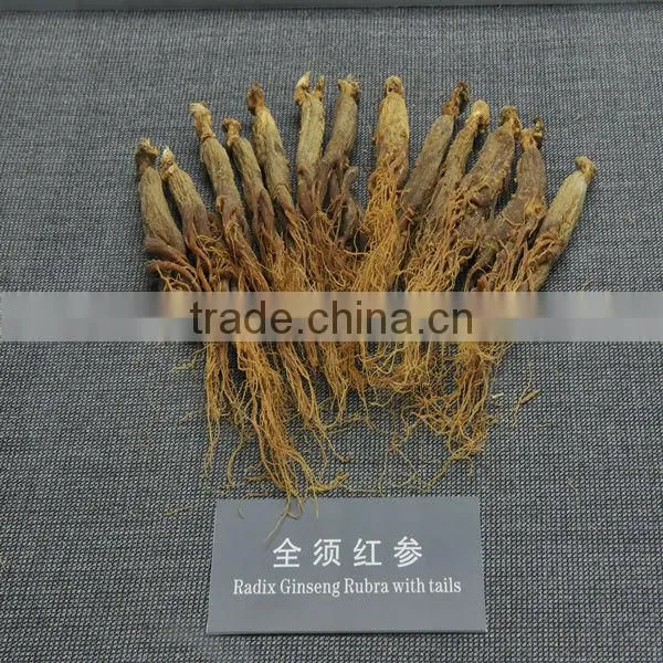 Red Ginseng photo-2