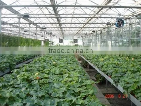 Greenhouse From Beijing in China photo-2
