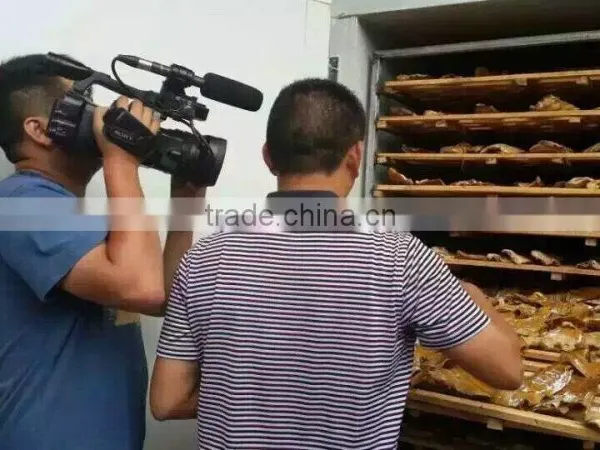 Catfish Drying Machine Fish Dryer photo-2