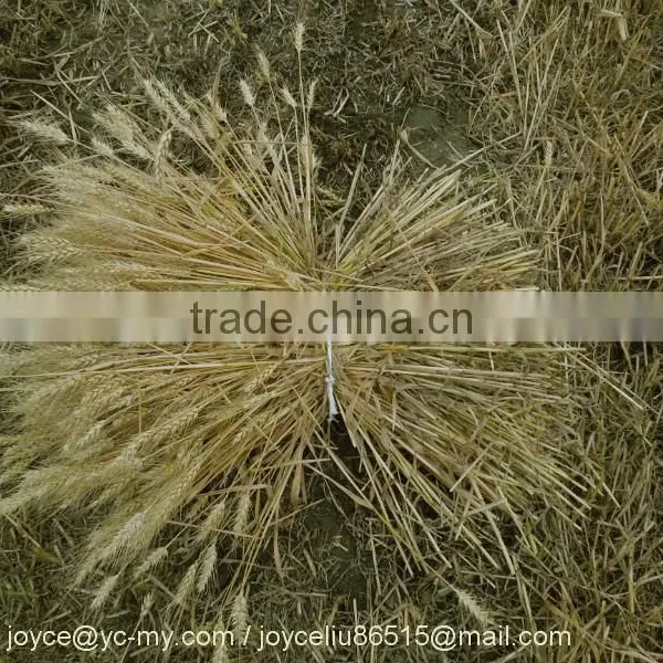 Mini Rice & Wheat Reaper Binder/wheat Reaper Binder Machine/mini Rice and Wheat Cutting Machine photo-5