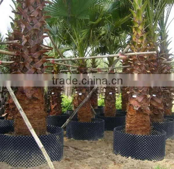 Fast Grow Rapid Cultivating Root Container photo-3