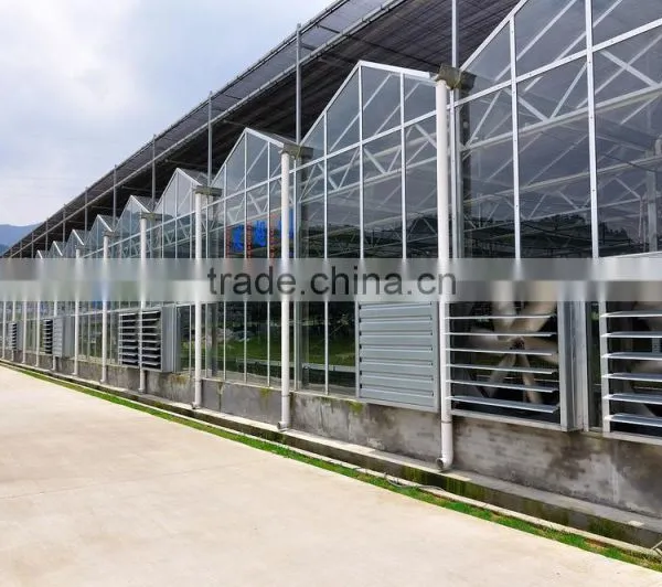 High Quality Glass Commercial Greenhouse in Steel Structure photo-3