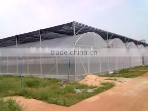 Commercial Plastic Hoop Vegetable Greenhouse photo-3