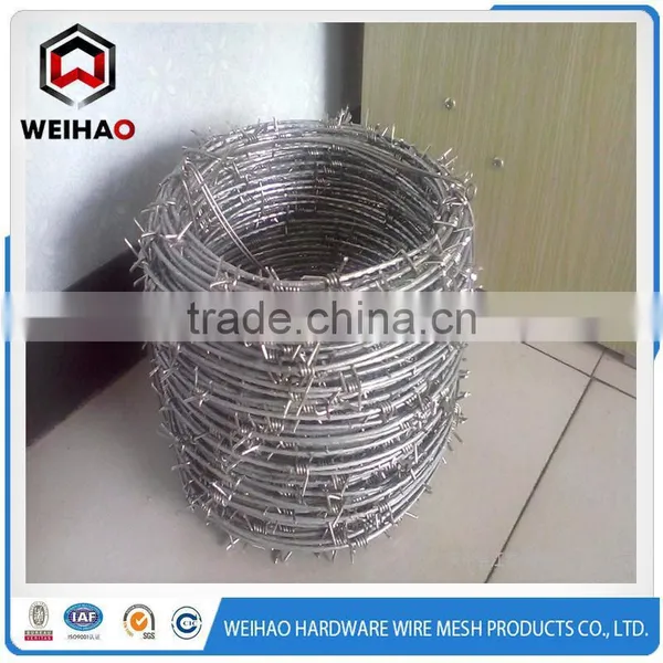 Used in Protecting of National Defense Sharp Barbed Wire photo-2