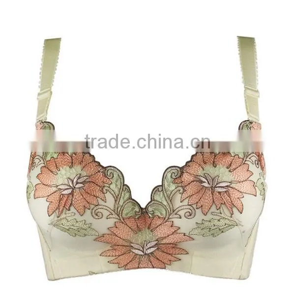 3/4 Cup Nylon Push-up Bra Bra Factory in China photo-3