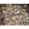 Normal White Garlic 5.0-6.0cm photo-2