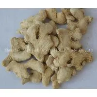 Dry Ginger photo-2