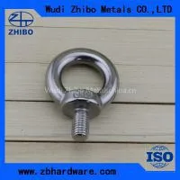 Stainless Steel Long Shank Eye Bolt