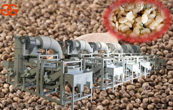 Commerical use hemp seed processing equipment for sale hemp seeds shelling machine supplier