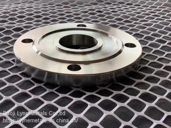 Pure or Alloy Titanium Forged Flange ASTM B16.5 or EN1092-1 photo-3