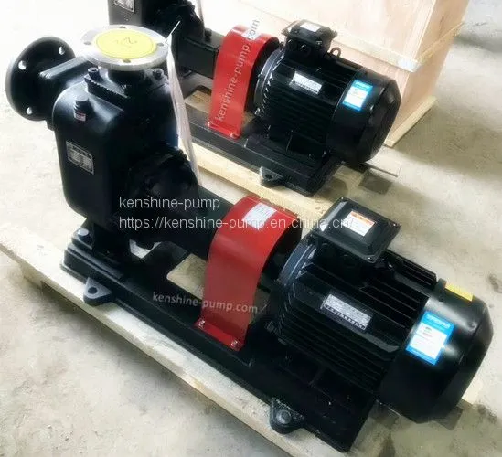 PW,PWF Horizontal Sewage Pump photo-4