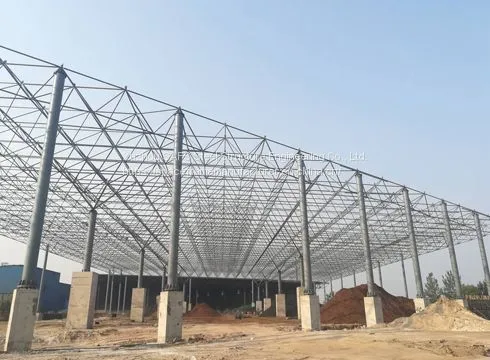 Jiangsu Xu Gang Group New 2# 3# Space Frame Structure Environmental Protection Shed Project photo-3