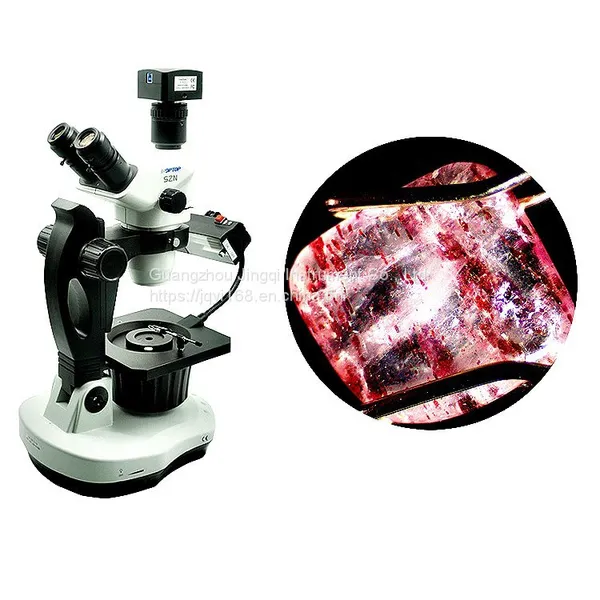 Research Type Digital Gemstone Trinocular Microscope Supplier photo-2