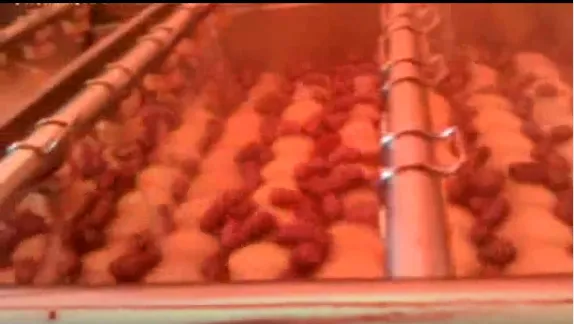 Dehydrated Fruit Vegetable Dehydrated Root &foliage Vegetable Processing Line photo-5