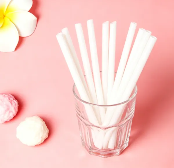 A Flexible and Non-breakable, Smooth and Transparent Disposable Straw photo-3
