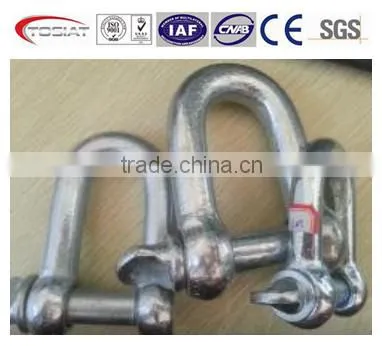 European Standard Galvanized D Shackle and Bow Shackle photo-5