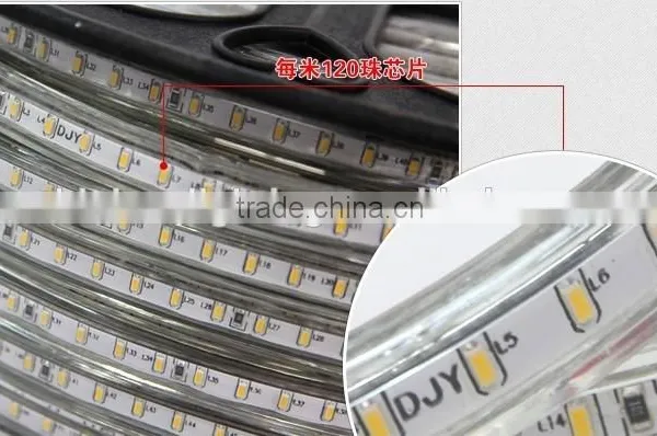 SMD3014 Led Strip Light Yellow Color 120led/m Strip Light Non-waterproof With CE&Rohs photo-4