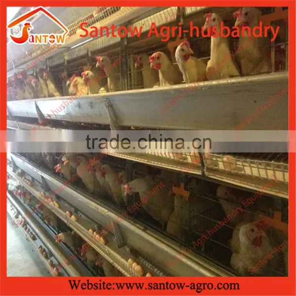 Stable Steel Structure Professional Chicken Egg Layer Cage Egg Layer House Design photo-2