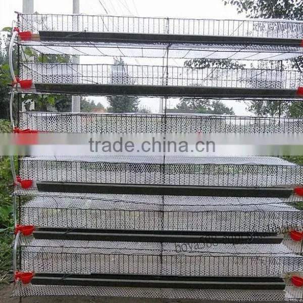 Poultry Quail Cages for Quail Faming photo-4