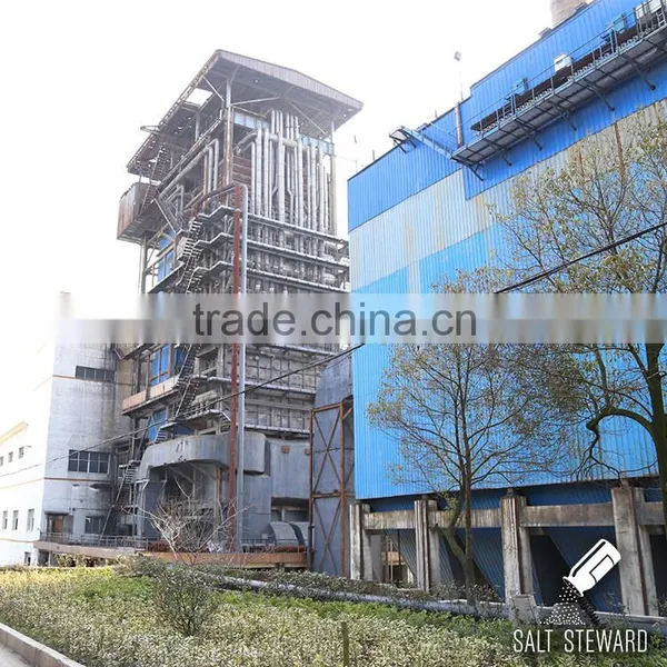 Hot Sale Sodium Sulphate Anhydrous for Chemical Use photo-4