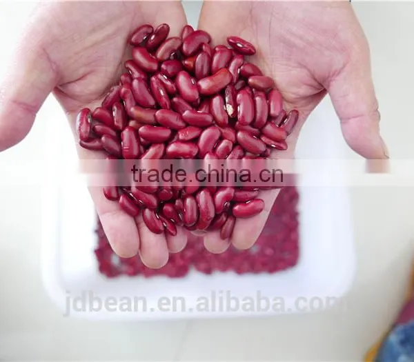 RED DARK KIDNEY BEAN Rajma HPS 200-220PCS/100G photo-2