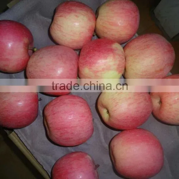 Fresh Apples photo-6