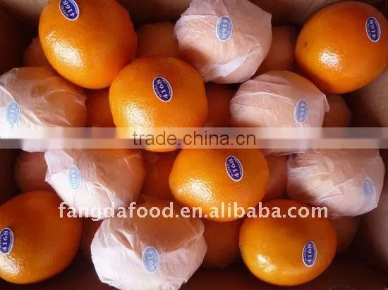 Chinese Navel Orange/Big Navel Orange