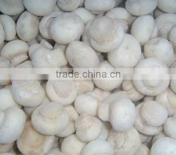 Frozen Delicate Champignon Mushroom/white Button Mushroom photo-2