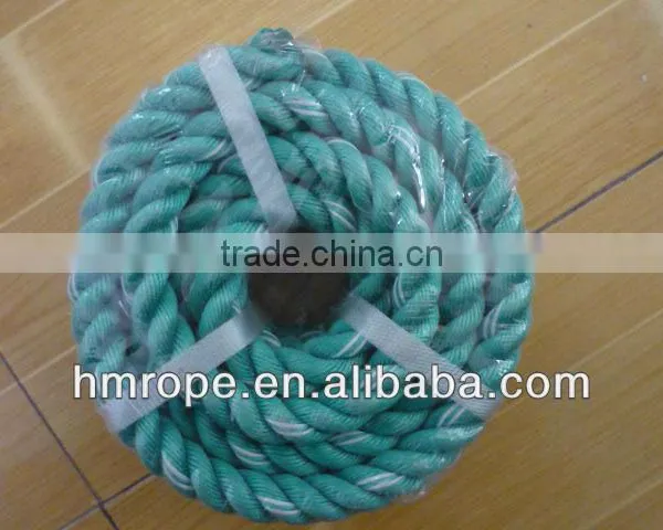 PP Danline Rope