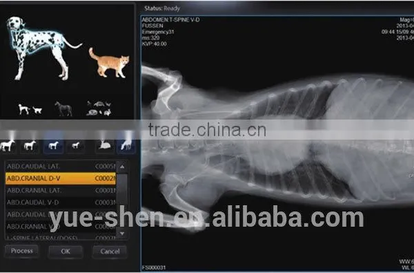 Use for X-ray Machine Detector Digital X-ray Flat Panel Detector photo-6