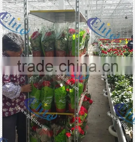 53 Plywood Base For Flower Trolley ,Welding Mesh Base For Flower Trolley, Pot Plant Trolley Base photo-3